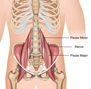 Psoasmassage